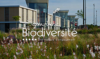 signature biodiversité decathlon