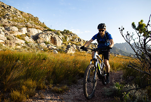 VTT électrique : E-ST520 : visez les sommets !