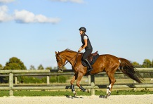 Fouganza : la saison Printemps Été 2019 arrive au galop