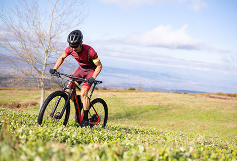 VTT XC900 : s'entraîner pour gagner !