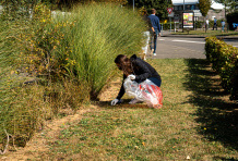 WORLD CLEAN UP DAY BY DECATHLON